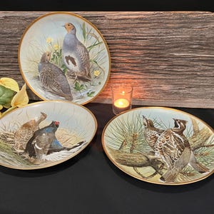 Puede incluir: Tres platos decorativos con borde dorado que presentan ilustraciones detalladas de diferentes pájaros. Los platos están sobre una superficie de madera con una vela en el fondo.
