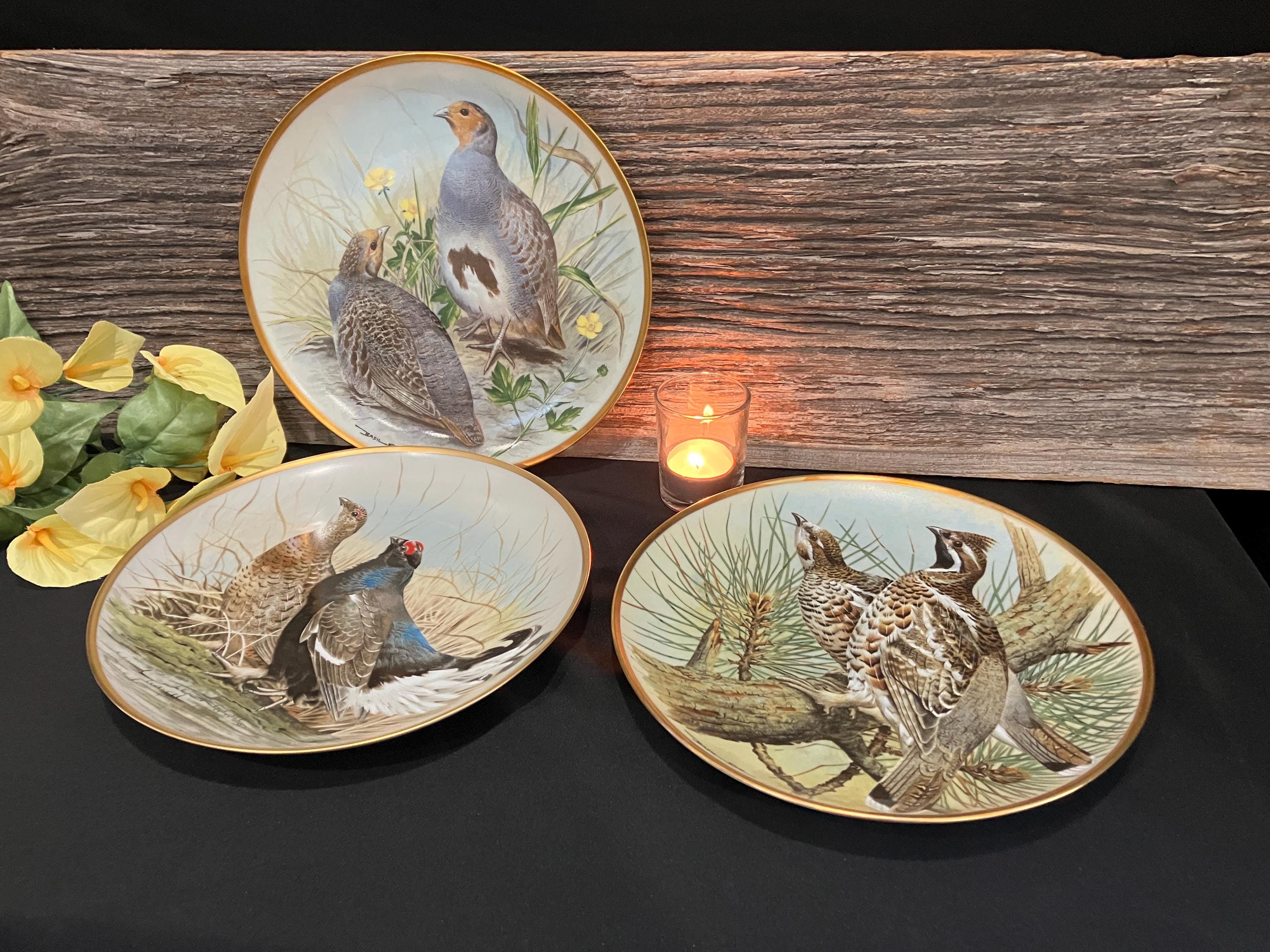 Franklin Porcelain Game Bird Plates: Basil Ede Collectable Set of