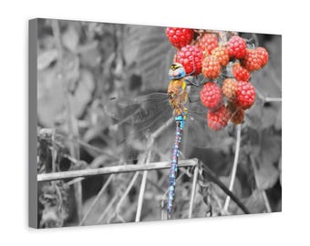 Photographic Art. Color-pop. Dragonfly. Wall art. Canvas print