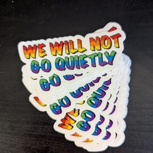 we will not go quietly (rainbow flag)