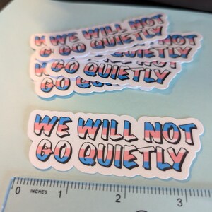 we will not go quietly (trans flag)