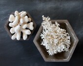 Pair of Hexagon Vintage Bonsai Planter, Zen Gardens, Geometric, Made in Japan, Dark Brown, 9 and 6 Inches Across