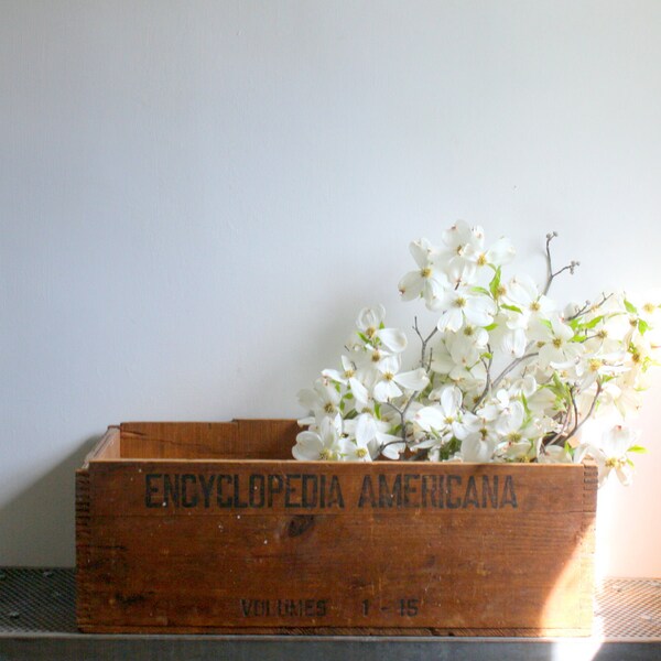 Vintage Encyclopedia Shipping Crate