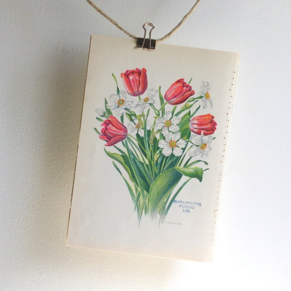 Small Vintage Botanical Flower  Print - Stamped