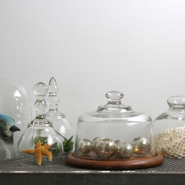 Vintage Teak Platter and Glass Dome