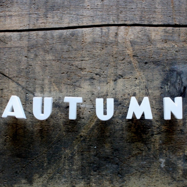 Ceramic Push Pin Letters - 1940s - AUTUMN