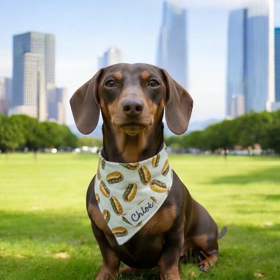 Hot Dog Dog Bandana, Chicago Style Pet Scarf, Funny Food Pet Outfit, Dachshund Lover Gift, Over the Collar Cotton Neckerchief