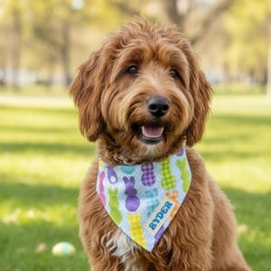 Easter Dog Bandana with Bunnies, Spring Peeps, Easy Slide Over the Collar Neckerchief for Puppy Egg Hunt, Personalized Gift with Name Tag