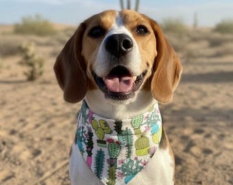 Dog Bandana, Cactus Dog Scarf, Succulent Desert Print, Over the Collar Dog Bandana, Boho Summer Dog Accessory