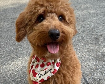 Apple Dog Bandana: Back to School Cotton Personalized Pet Scarf