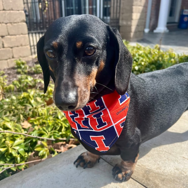 UNIVERSITY of ILLINOIS- dog bandana over the collar style- Go Fighting Illini- March Madness NCAA- Sweet 16-Elite 8