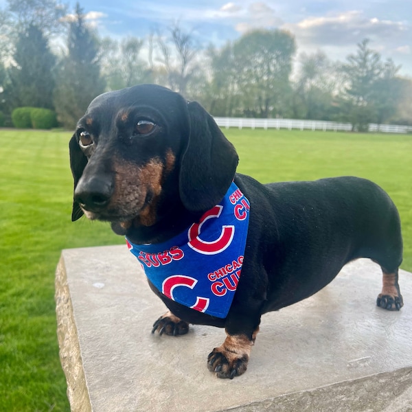 Chicago CUBS dog bandana- over the collar style- Go Cubbies! Wrigley Stadium Summertime Fashion-MBL Baseball dog mom dad- Bark in the Park