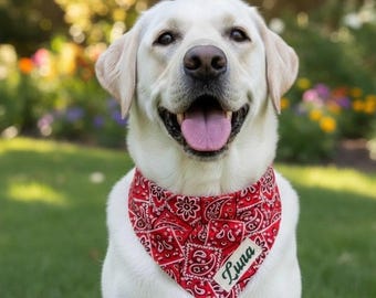 Dog Bandana, Personalized Red Paisley Pet Scarf, Classic Everyday Dog Accessory, Over the Collar Western Cowboy Puppy Gift with Name