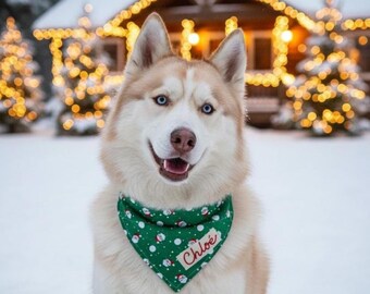 Personalized Santa Dog Bandana with Name, Christmas Green with Glasses, Custom Holiday Pet Gift, Scarf Over the Collar, Family Photo Card