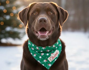 Custom Christmas Gift Dog, Bandana with Name, Green with Santa in Glasses, Custom Holiday Pet Gift, Scarf Over the Collar, Family Photo Card
