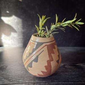 May include: A small, handcrafted ceramic vase with a rounded body and a narrow neck. The vase features geometric patterns in brown, grey, and red against a beige background. Green plant stems are inside the vase.