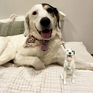 Personalized Clay  Dog Sculpture,pet clay sculpture,Dog cake topper,Dog Wedding Decor,pet birthday cake,Dog Statue,pets birthday