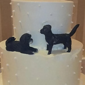 Personalized Custom Dog, Pets Wedding Cake Topper, Dog Cake Topper, Wedding Cake Topper, Pets Birthday, Wedding Cake Topper with Dog