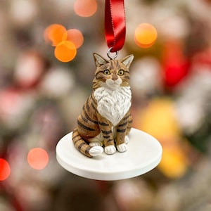 Custom Cat Statues, Personalized Cat Clay figurines, Cat Christmas ornament, Christmas Ornament, Christmas Gift for Cat Lovers