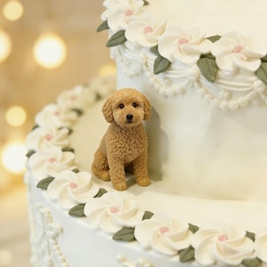 May include: A detailed, light brown poodle figurine sits on a tiered white cake decorated with white floral accents and green leaves. The cake has a decorative border of white flowers with pink centres. The poodle has a curly coat and is seated.