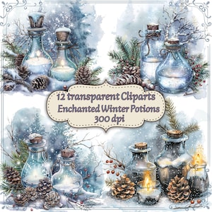 Könnte beinhalten: Aquarellillustration von 12 transparenten Cliparts von verzauberten Wintertränken. Das Bild zeigt Glasflaschen mit Korken, Tannenzapfen und verschneitem Winterlaub. Der Text auf dem Bild lautet "12 transparente Cliparts Verzauberte Wintertränke 300 dpi."