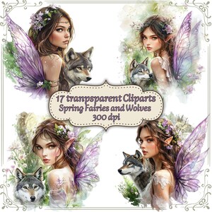 May include: A digital art collection featuring four images of fairies with wolves. The fairies have purple wings and floral headpieces. The images include the text "17 transparent Cliparts Spring Fairies and Wolves 300 dpi."