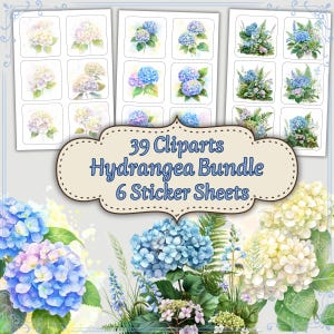 Pode incluir: Um pacote de cliparts e folhas de adesivos com tema de hortênsia. A imagem apresenta ilustrações em aquarela de hortênsias azuis, roxas e brancas. O texto na imagem diz "39 Cliparts Hydrangea Bundle 6 Sticker Sheets."