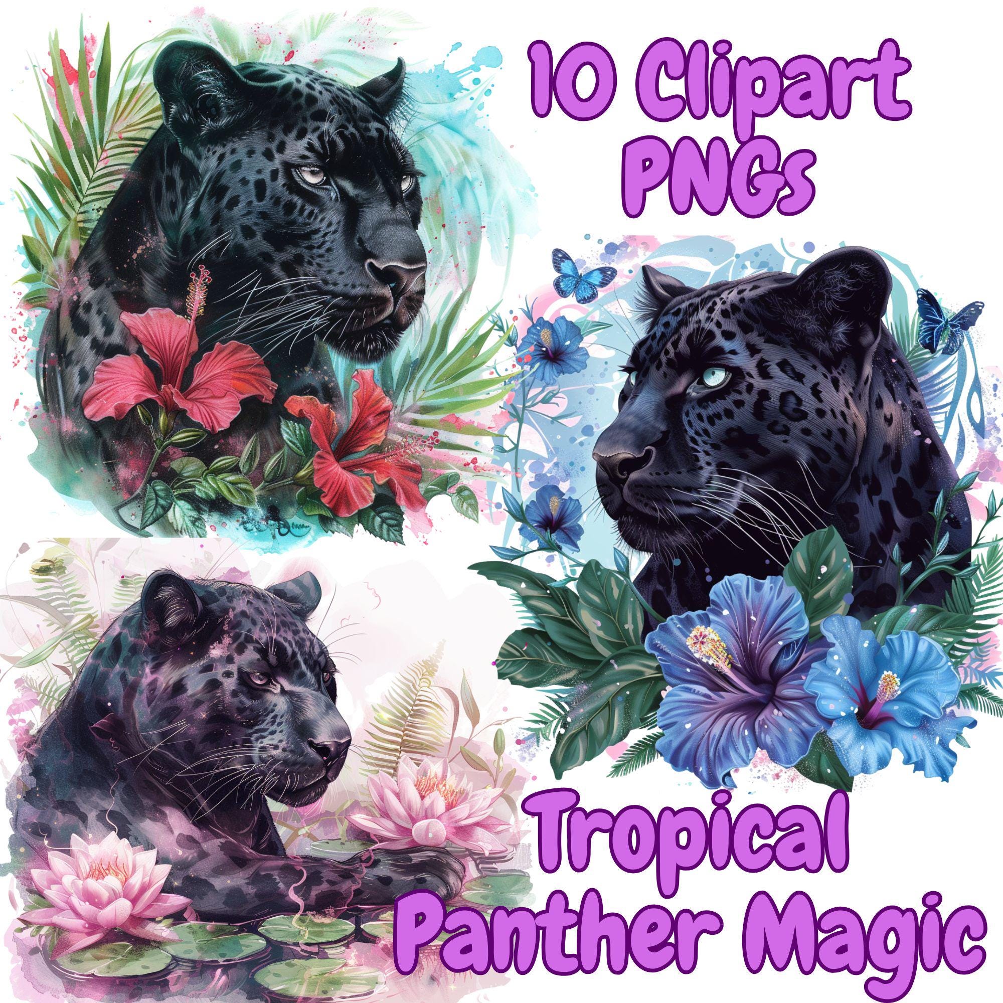 black panther mtg card Amazon.com: Magic the Gathering Secret Lair x Marvel's Black Panther