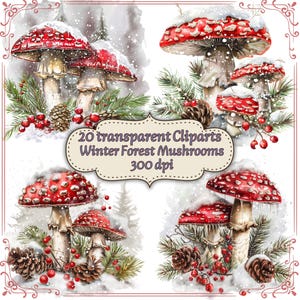 May include: Watercolor clip art featuring red and white spotted mushrooms with snow-covered caps. The image includes pine needles, pine cones, and red berries. Text on the image reads "20 transparent Cliparts Winter Forest Mushrooms 300 dpi."