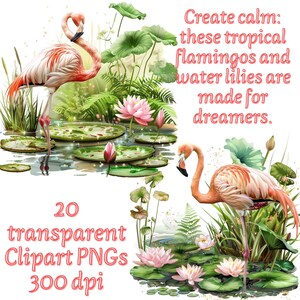 May include: Digital illustration featuring two pink flamingos and water lilies in a pond. Lush green foliage surrounds the scene, with text that reads "Create calm: these tropical flamingos and water lilies are made for dreamers." Also includes text that reads "20 transparent Clipart PNGs 300 dpi."