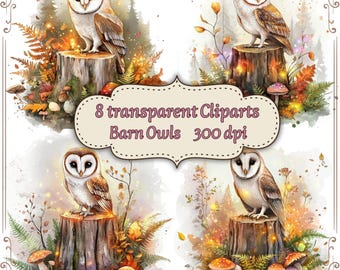 Barn Owls – 8 Transparent Owl Cliparts | Autumn Forest PNG | 300 dpi | Digital Barn Owl Illustrations