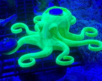 Octopus Frag Rack - encrusting coral holder + 7 frags in tentacles