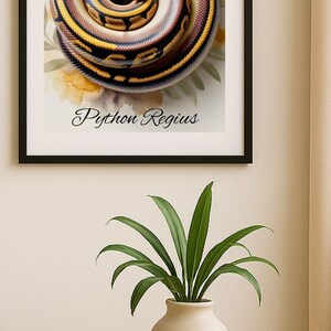 Peut inclure: Impression artistique encadr&eacute;e d'un python royal enroul&eacute;, avec des &eacute;cailles marron, beige et jaunes. Le texte "Python Regius" est inscrit. L'&oelig;uvre est pr&eacute;sent&eacute;e au-dessus d'une table avec un vase et une petite tasse.