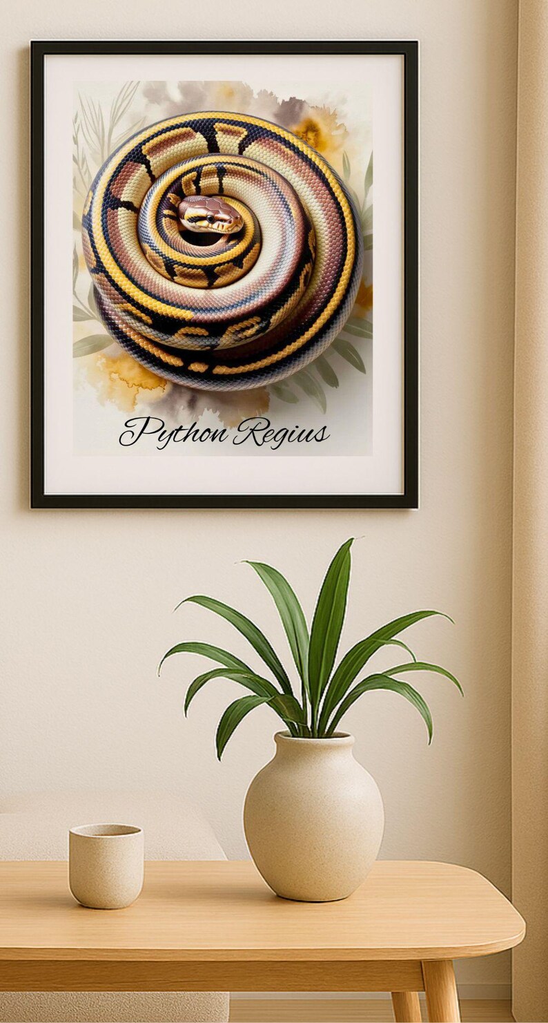 Peut inclure: Impression artistique encadr&eacute;e d'un python royal enroul&eacute;, avec des &eacute;cailles marron, beige et jaunes. Le texte "Python Regius" est inscrit. L'&oelig;uvre est pr&eacute;sent&eacute;e au-dessus d'une table avec un vase et une petite tasse.