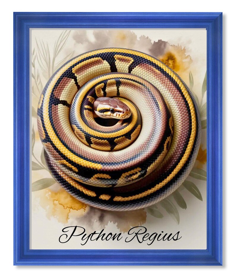 Peut inclure: Impression encadr&eacute;e d'un python royal enroul&eacute;. Le serpent pr&eacute;sente des motifs jaunes, bruns et noirs. L'impression est pos&eacute;e sur un fond aquarelle avec des accents floraux et le texte "Python Regius" en &eacute;criture &eacute;l&eacute;gante.