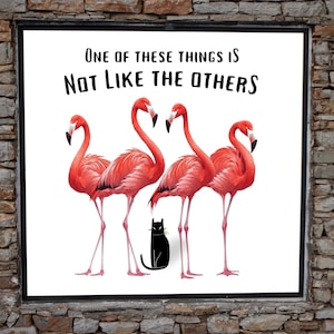 Puede incluir: Impresión enmarcada con cuatro flamencos rosas y un gato negro. El texto en la parte superior dice "ONE OF THESE THINGS IS NOT LIKE THE OTHERS". Los flamencos tienen patas largas y cuellos curvos.