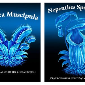 X Ray Botanical Prints Set • Venus Flytrap, Pitcher Plant Art (Digital Download)