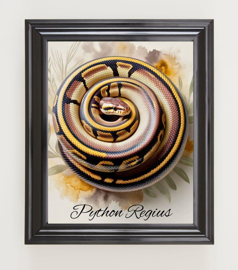 Peut inclure: Illustration encadr&eacute;e d'un python royal enroul&eacute;, avec des &eacute;cailles marron, beige et jaunes. L'arri&egrave;re-plan pr&eacute;sente des &eacute;l&eacute;ments floraux &agrave; l'aquarelle. Le texte "Python Regius" est &eacute;crit en cursive en bas de l'image.