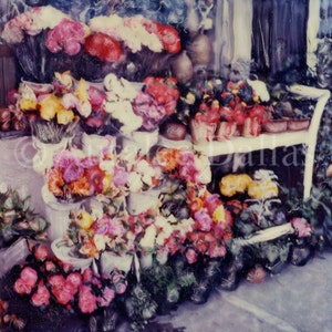 Flower Cart Polaroid Print Polaroid Manipulation Room Decor Photograph
