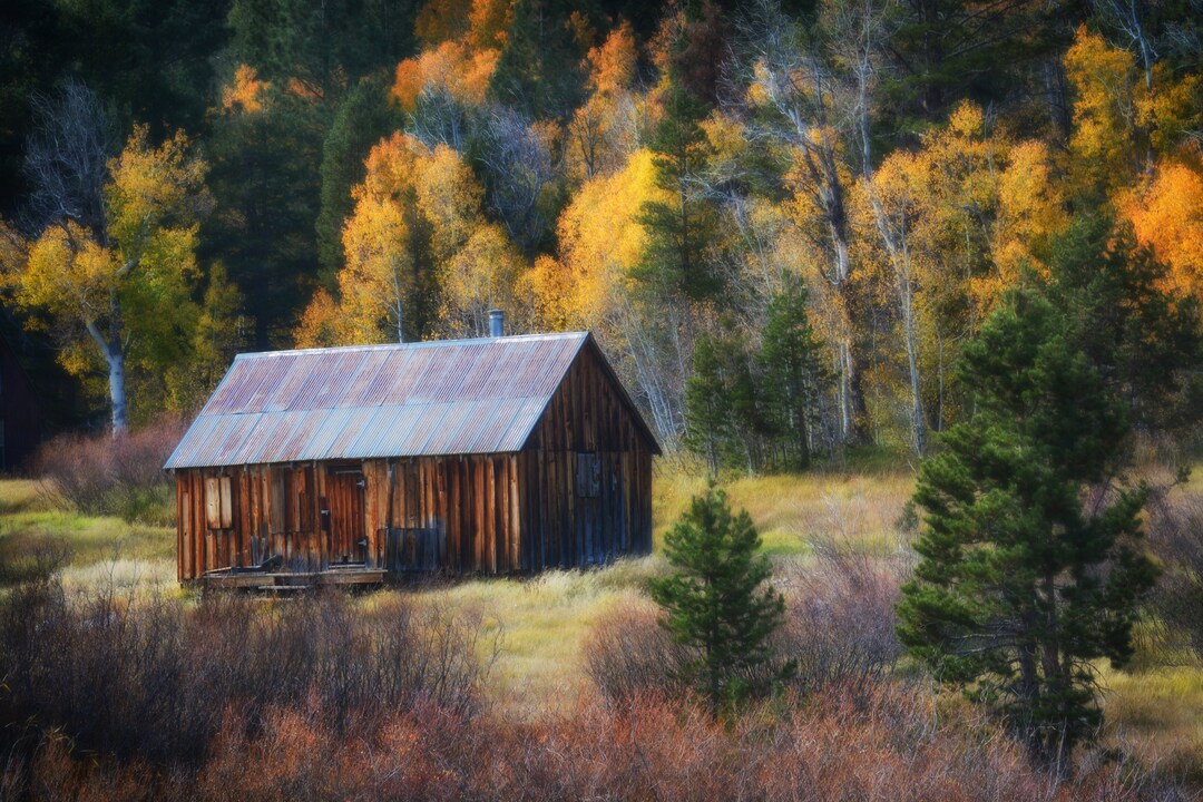 Rustic Cabin Hope Valley California Eastern Sierra Fall Color Etsy