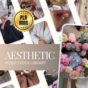 800+ Faceless Reels Bundle, Videos, Faceless Marketing, Faceless Reels, Faceless Video, Aesthetic Reels, Digital Marketing, MRR/PLR, Canva