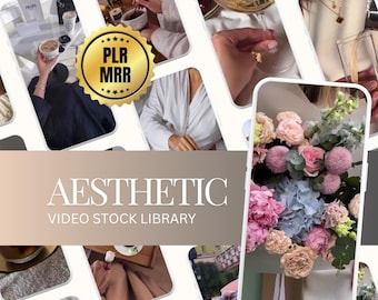 Aesthetic Faceless Reels Video Bundle, MRR/PLR Canva Template