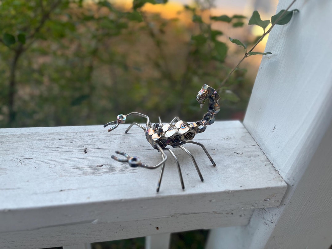 Stainless Steel Scorpion, Welded Metal Art Sculpture, Handcrafted ...