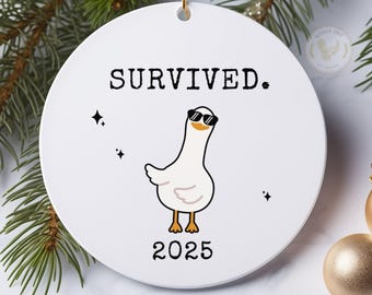 Funny 2026 Christmas Ornament, End of Year Coworker Gift