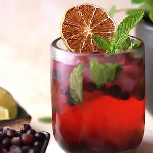 830 Slices of Dried Lime Cocktail Garnish