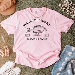 Chemise anti-atout, chemise cadeau démocrate, chemise démocrate, t-shirt américain du golfe du Mexique, chemise amateur de poisson, t-shirt confort coloré