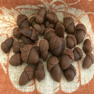 20 Wax acorns/fall/autumn/tiered trays/decor/props/candle creations/embeds/tarts/melts