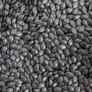 Edible watermelon seed candy-3 ounces