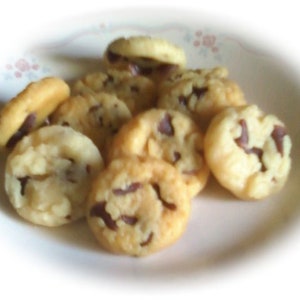 12 mini wax chocolate chip cookies embeds melts fake food