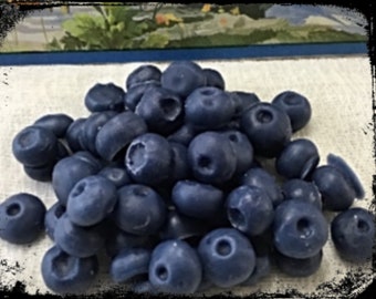 Buy 2 get 1 free 50 Wax BLUEBERRY or CRANBERRY embeds melts fake food